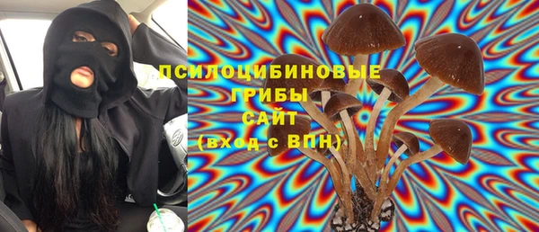 МДПВ Верхний Тагил