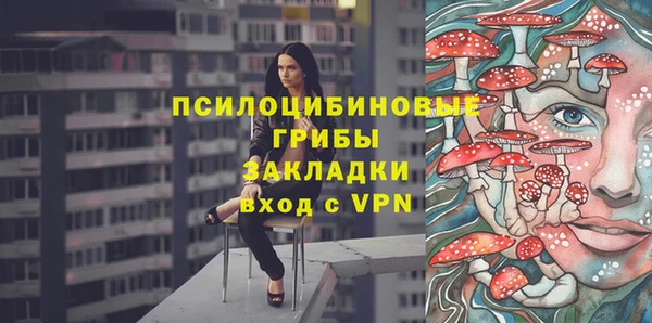 jwh Бородино
