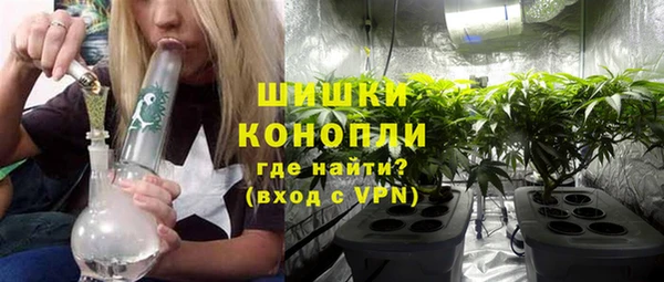 МДПВ Бронницы