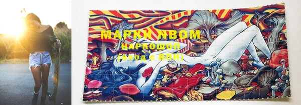 МДПВ Бронницы