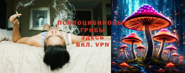 jwh Бородино