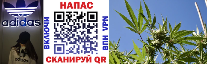 купить наркоту  MEGA онион  МАРИХУАНА марихуана  Брянск 